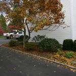 Antique cobblestone (Belgian Block) edging along driveway