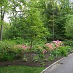 Cobblestone edge along asphalt drive with small drain