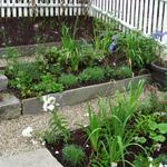 Terraced vegetable garden with bluestone risers