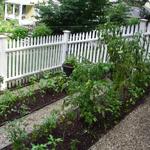 Terraced garden