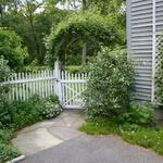 Climbing roses and clematis on gated arbor 