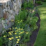 Perennial border planting - full sun 