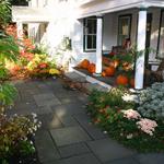 Front entry planting (fall color) - partial sun