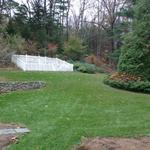 Back yard border plantings and lawn area