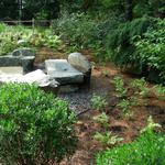 Shaded sculptural garden