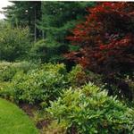 Border planting - partial sun and shade