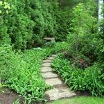 Fieldstone steppers lead through the shade garden to the back yard