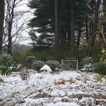 Winter snow adds new interest to landscape 