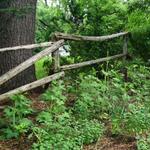 Antique rail fence